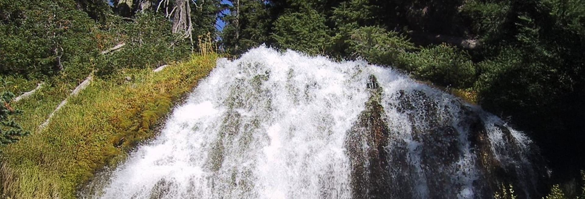 Bridge Creek Falls. Water fall cascading over a mossy hill with trees in the background.